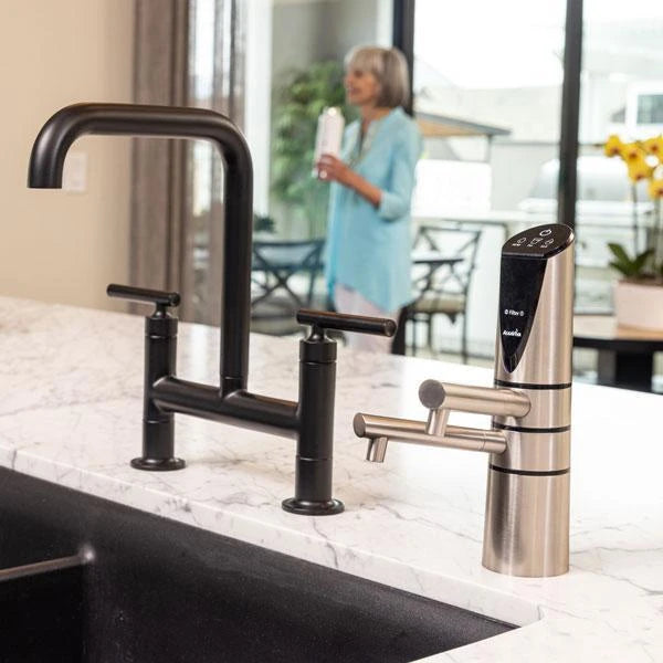 Delphi H2 Water Ionizer